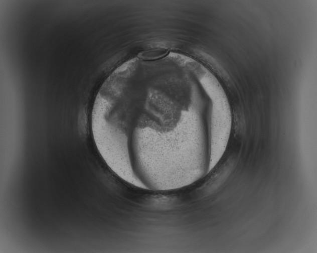 X0000100930453200807151248