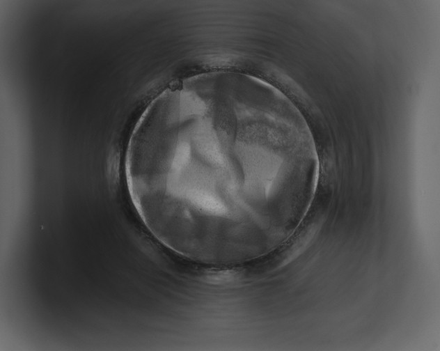 X0000100930454200807151248