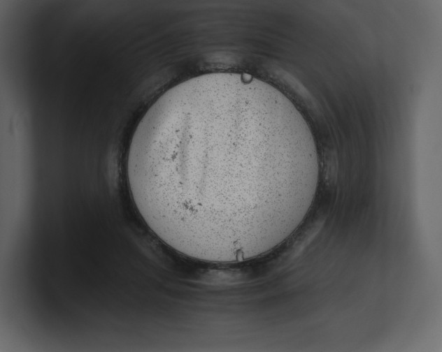 X0000100930455200807151248