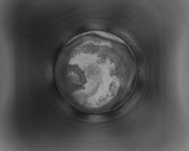 X0000100930457200807151248