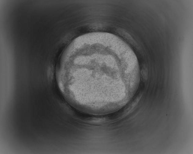 X0000100930458200807151248