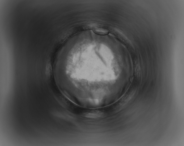 X0000100930459200807151248