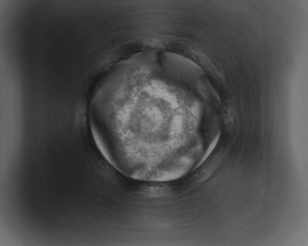 X0000100930466200807151248