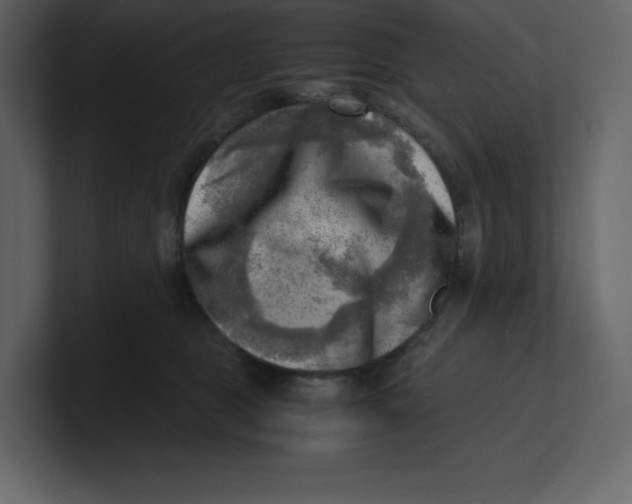 X0000100930469200807151248