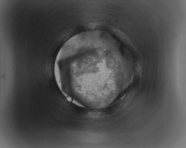 X0000100930470200807151248