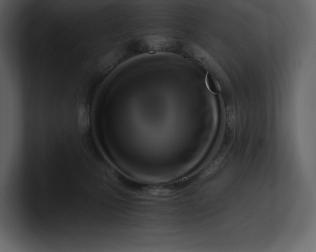 X0000100930471200807151248