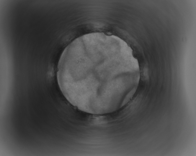 X0000100930472200807151248