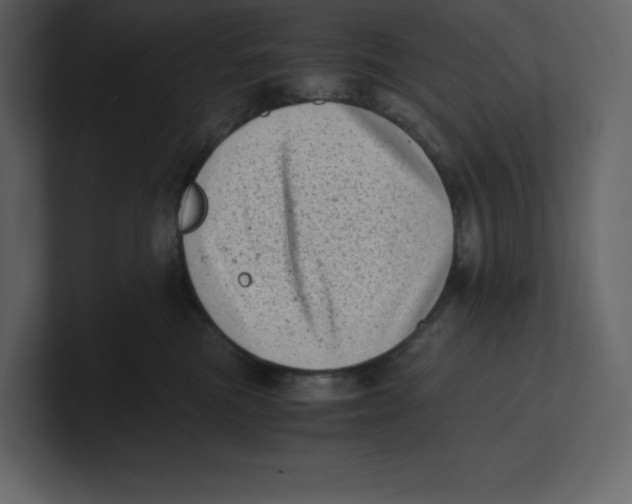 X0000100930473200807151248