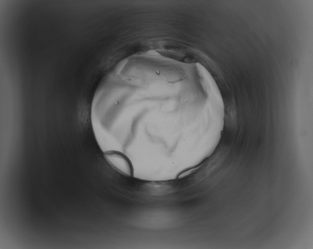 X0000100930477200807151248