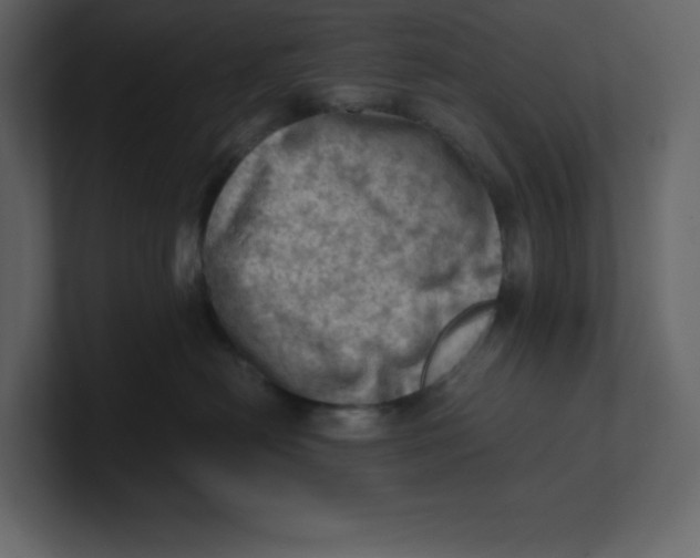 X0000100930478200807151248