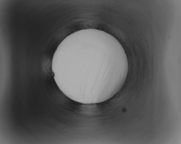 X0000100930480200807151248