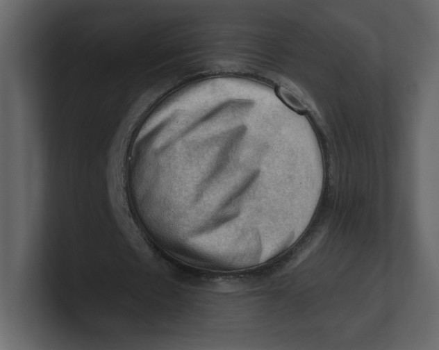 X0000100930481200807151247