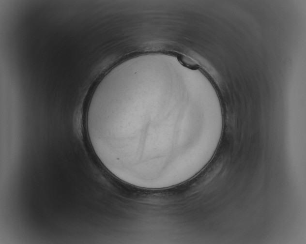 X0000100930485200807151247