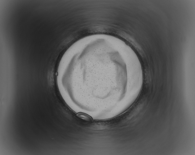 X0000100930489200807151247