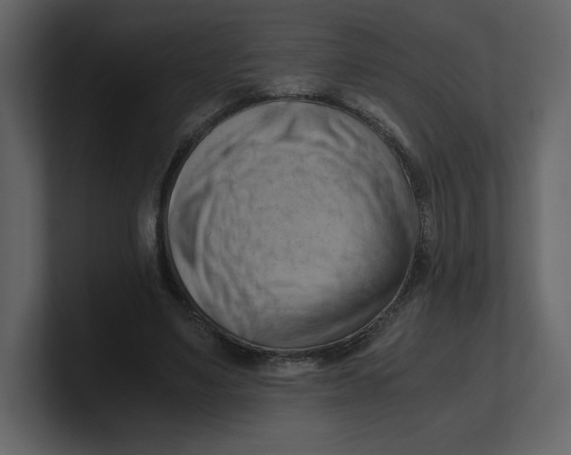 X0000100930491200807151247