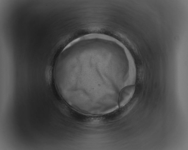 X0000100930495200807151247