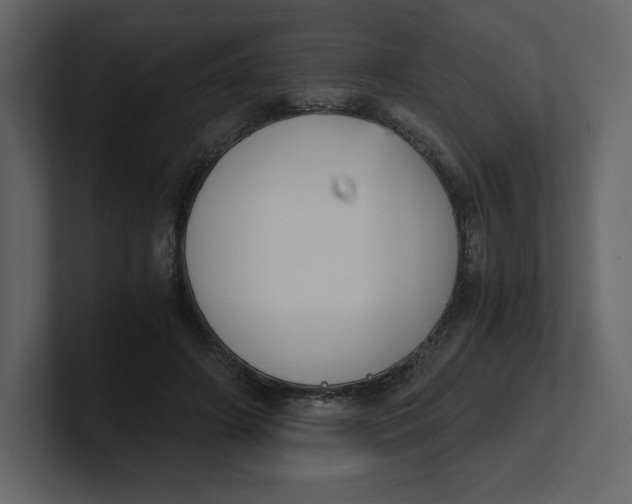 X0000100930498200807151247