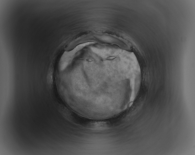 X0000100930501200807151247