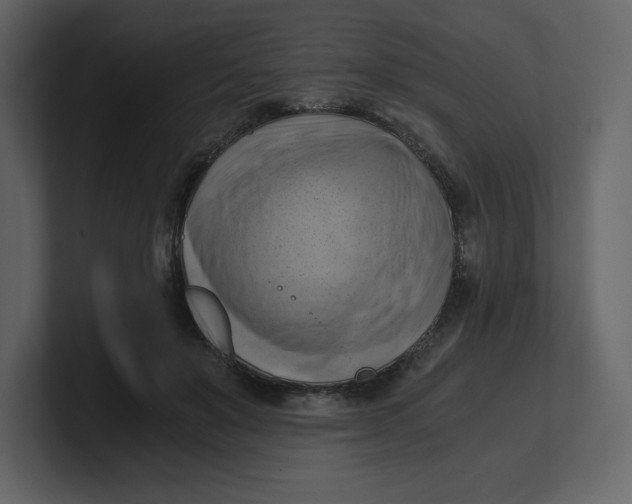 X0000100930503200807151247