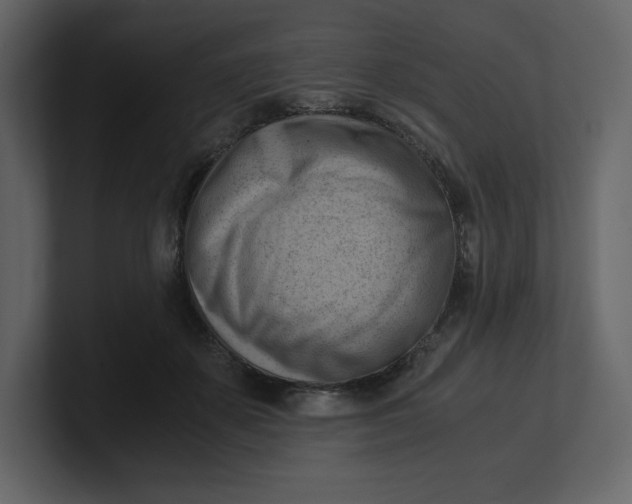 X0000100930507200807151247