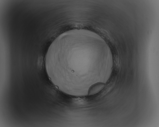 X0000100930511200807151247