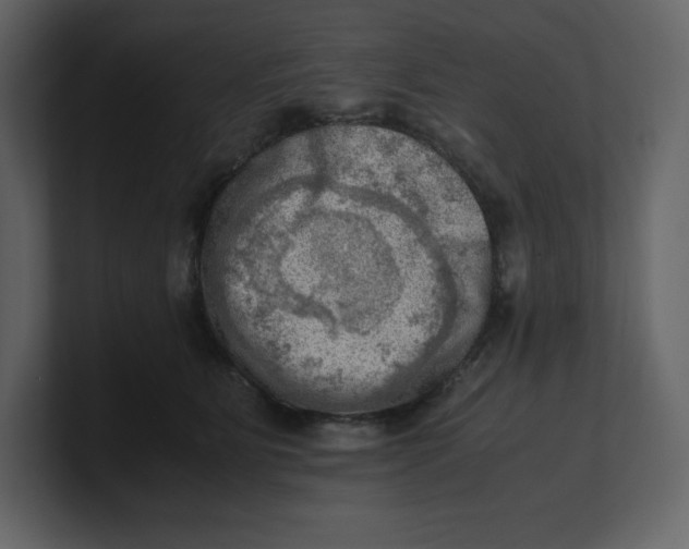 X0000100930515200807151247