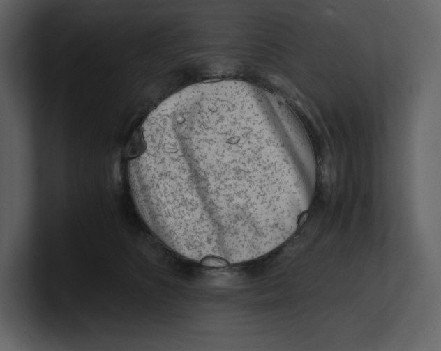 X0000100930516200807151247