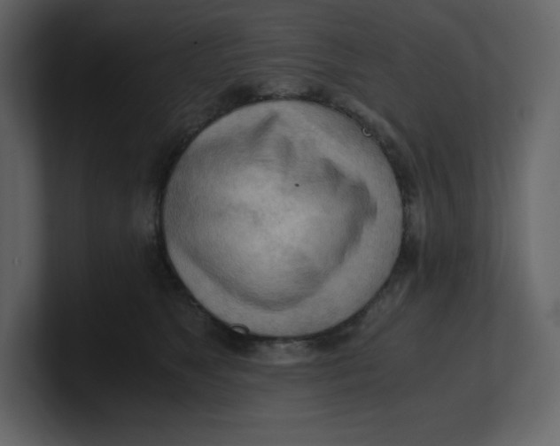 X0000100930517200807151247