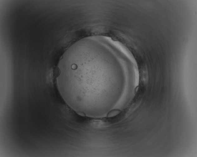 X0000100930519200807151247