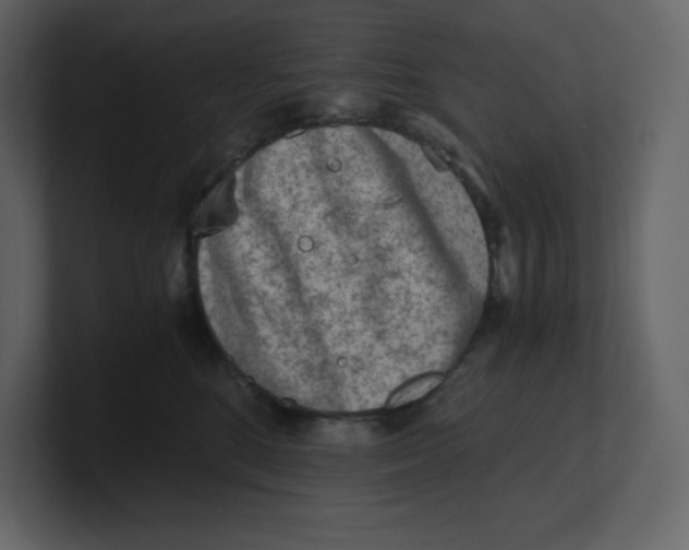 X0000100930520200807151247