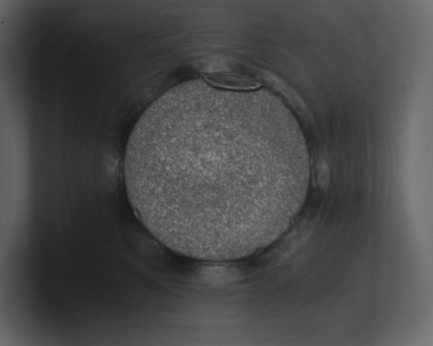 X0000100930521200807151247