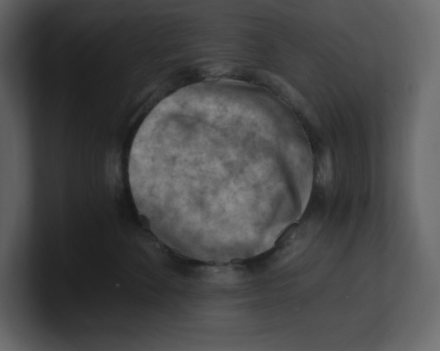 X0000100930524200807151247