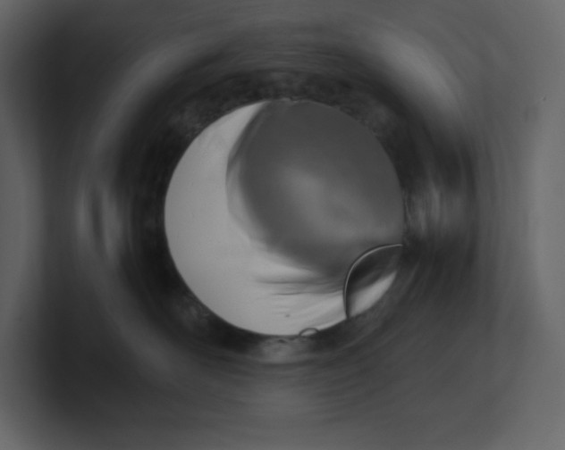 X0000100930526200807151247