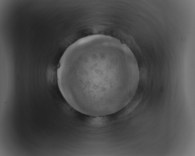 X0000100930527200807151247