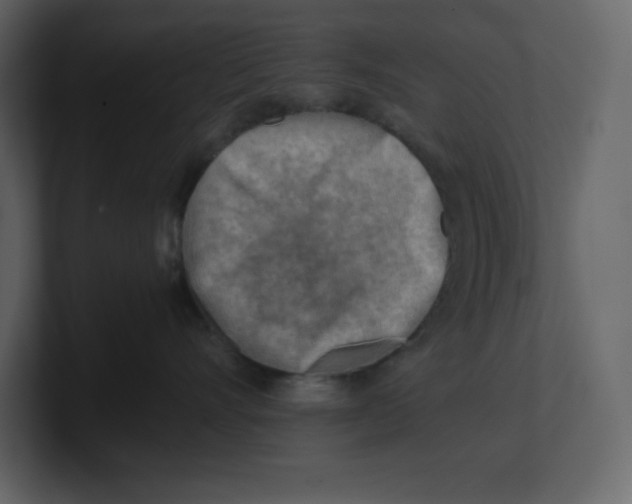 X0000100930528200807151247