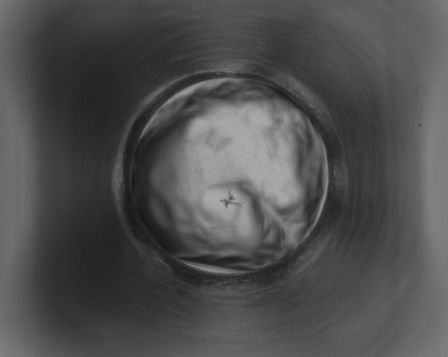 X0000100930532200807151246