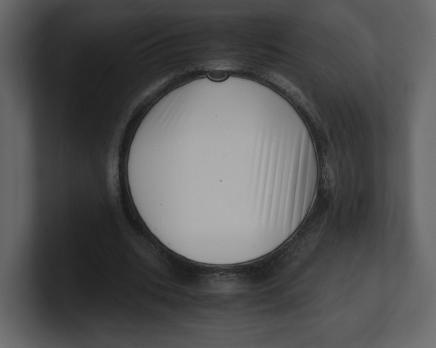 X0000100930535200807151246