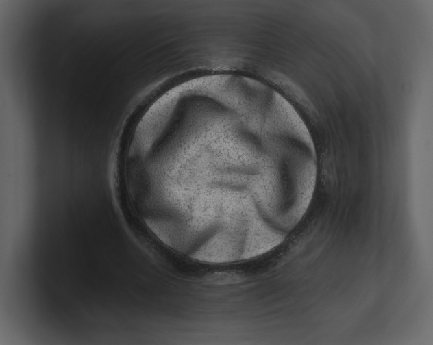 X0000100930536200807151246