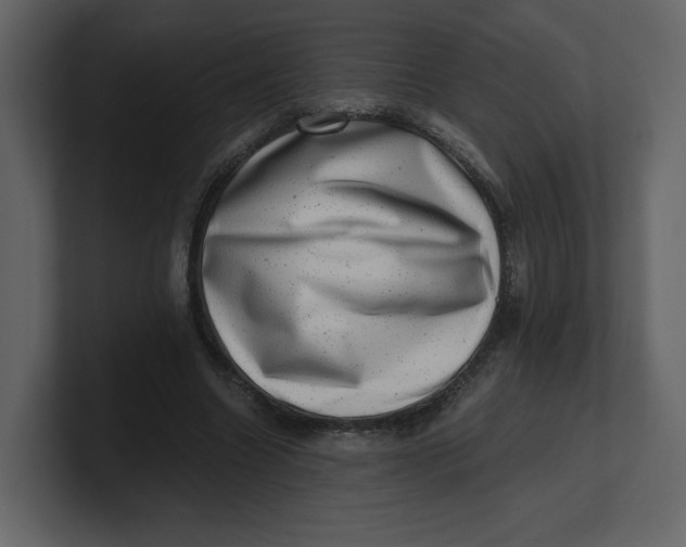 X0000100930538200807151246