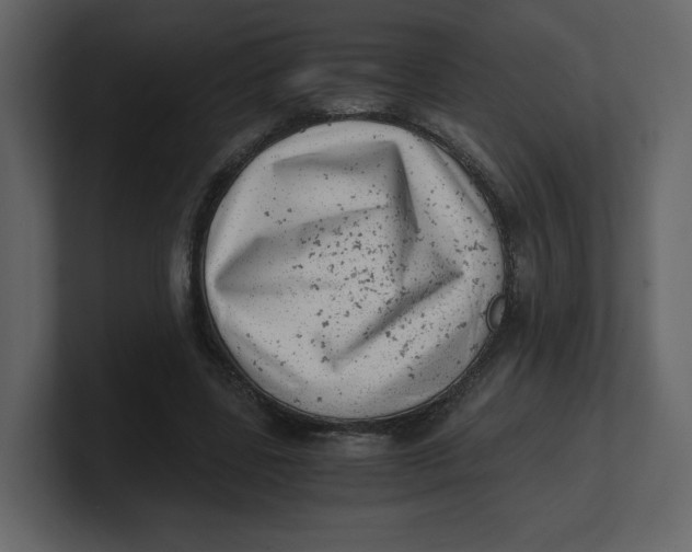 X0000100930539200807151246