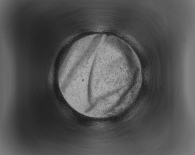 X0000100930540200807151246