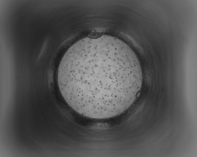 X0000100930543200807151246