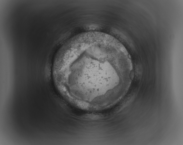 X0000100930545200807151246