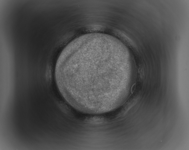 X0000100930546200807151246