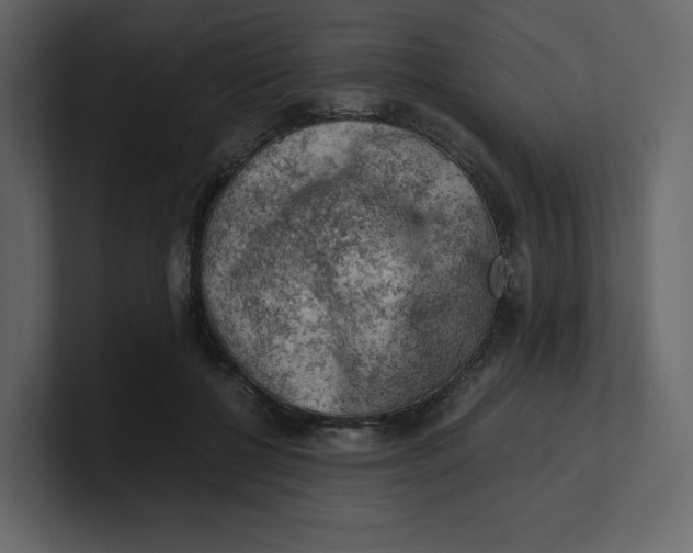 X0000100930552200807151246