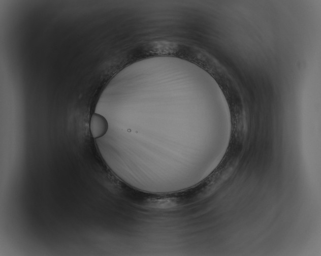 X0000100930553200807151246