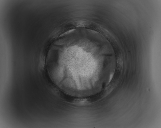 X0000100930554200807151246