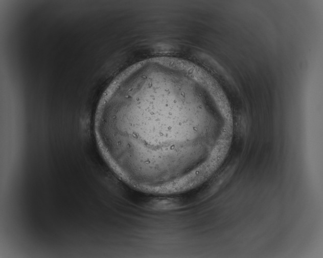 X0000100930557200807151246