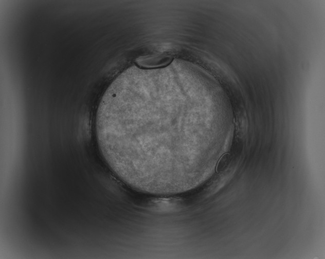 X0000100930558200807151246