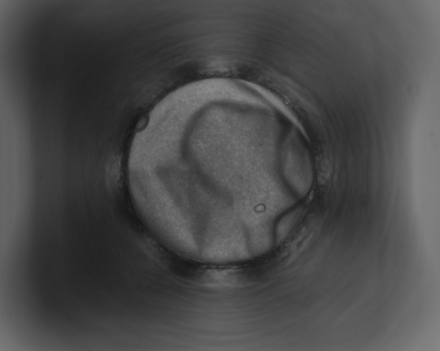 X0000100930560200807151246